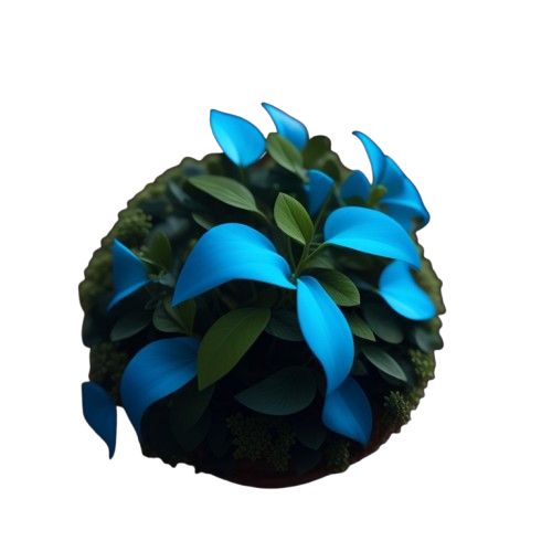 sobhan_s_o_n
